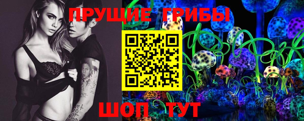 Мариинск  Псилоцибиновые грибы мухоморы  Вход с VPN  Псилоцибиновые грибы мухоморы 